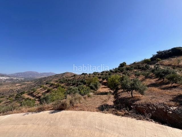 Foto 48e28b3e-d065-4299-8b7f-f21132d4ddc9. Finca rústica a calle gibralmora 10 a Pizarra