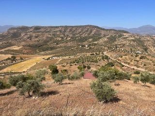 Fondo rustico in Calle gibralmora 10. Finca rústica con embalse de agua y casa