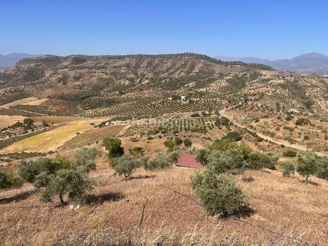 Foto 5f8b429b-2c38-454e-8d94-1feb3fd8d673. Finca rústica a calle gibralmora 10 a Pizarra