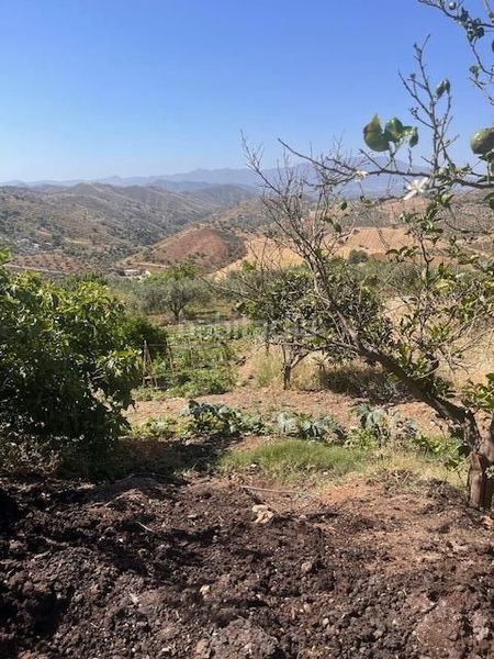 Foto c7d86c75-5d05-481c-94e4-5a169c92b872. Finca rústica a calle gibralmora 10 a Pizarra