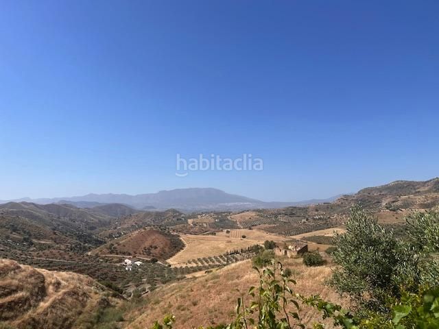 Foto dea9df59-2eb3-4a23-80a7-d16ff171c637. Finca rústica a calle gibralmora 10 a Pizarra
