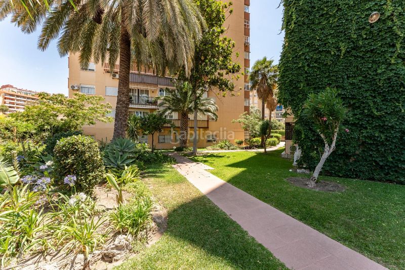 Foto efc1dd95-6527-4244-b565-487212da123e. Pis a Olletas - Sierra Blanquilla Málaga