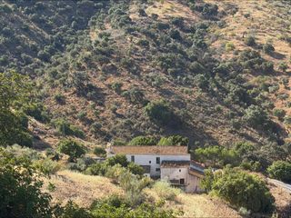 Fondo rustico  Ds diseminado r32. Oportunidad única! espectacular finca de 81 hectáreas a un paso