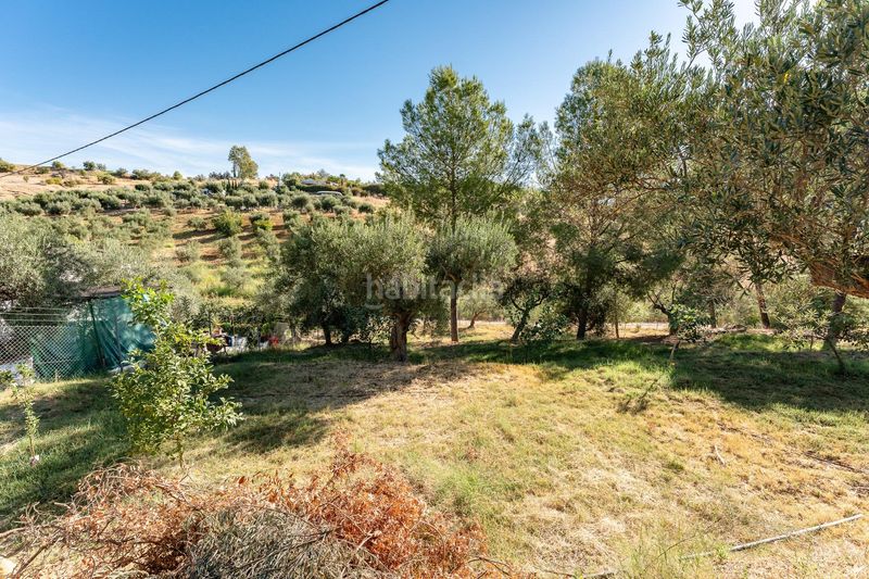 Foto caebba5a-202b-4127-a39d-ab9ddad7ea74. Casa a calle cañada serrana 3 a Pizarra