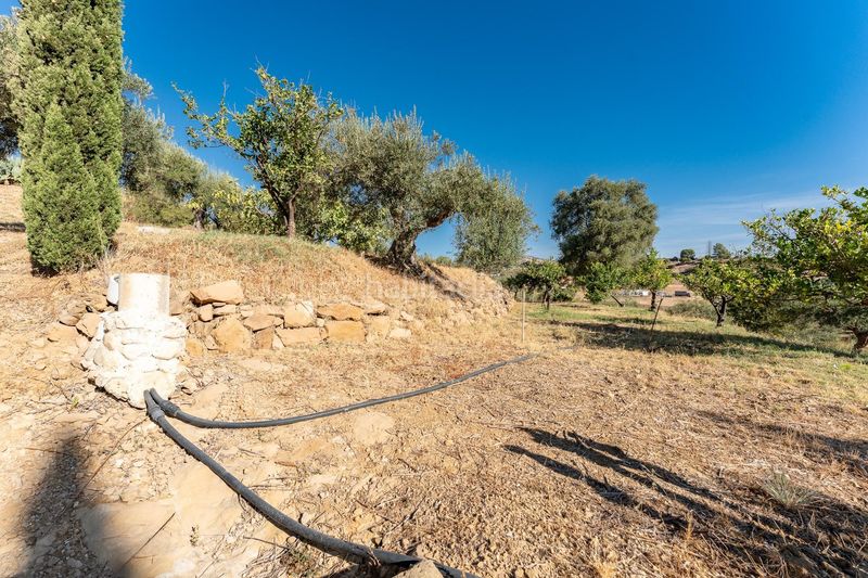 Foto d6466637-d8e8-405b-9986-54d571d02533. Casa a calle cañada serrana 3 a Pizarra