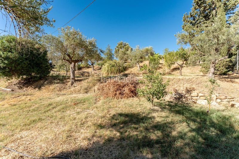Foto e6223d05-02f7-4752-bacd-3faa7185503e. Casa a calle cañada serrana 3 a Pizarra