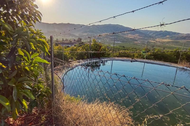 Foto 17ac4a3a-ed60-4a33-bbca-a962a56239bc. Finca rústica a Álora