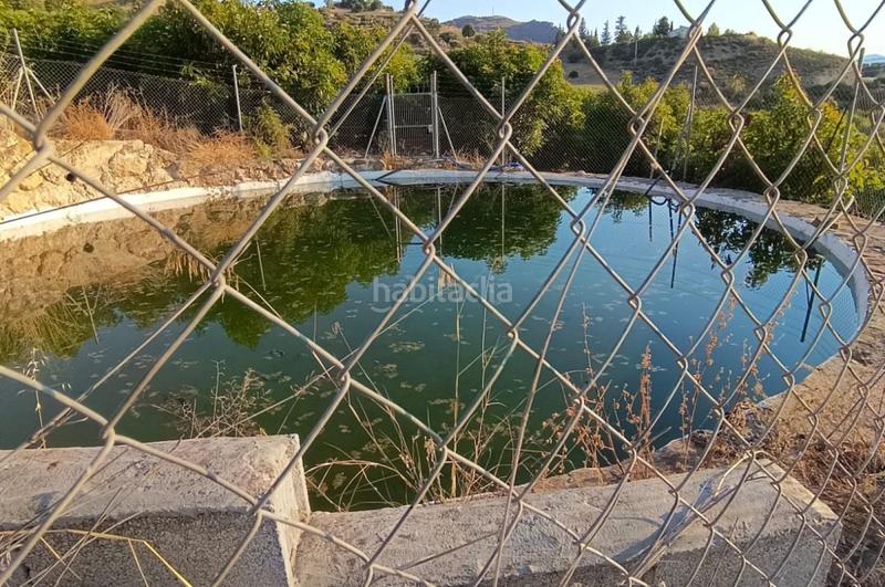 Foto 383c46d5-42c5-4f07-a93a-5dc7010101d1. Finca rústica a Álora