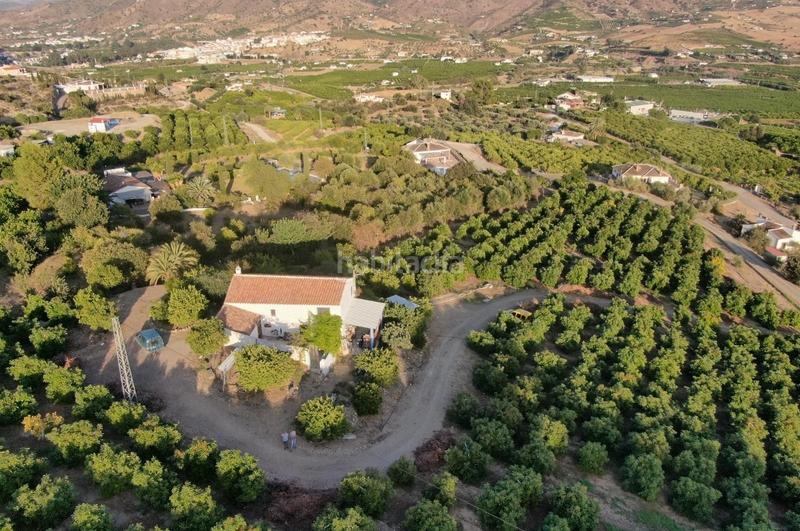 Foto c8c8801c-f12e-49fc-9087-95e1f60111f2. Finca rústica a Álora