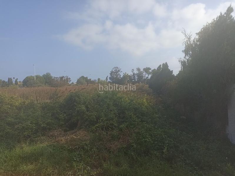 Foto adcf8b17-7059-4ca8-8d4a-de8e981ce5cc. Finca rústica a Corinto-Almardà Sagunt