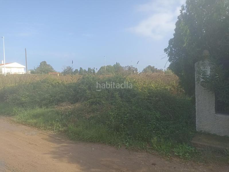 Foto 7a0c2bde-8f96-4c88-88e1-9be2987d97e0. Finca rústica en Corinto-Almardà Sagunt