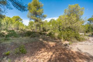 Terreny residencial a Cap Martí - El Tossalet - Pinomar