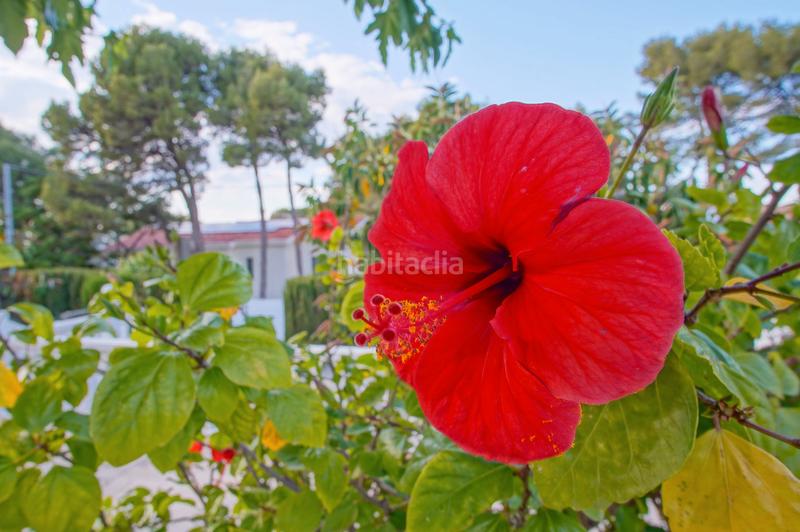 Foto 4fe610e7-4be2-4f68-b7dc-79c3e90b980e. Chalet con riscaldamento parcheggio piscina in Las Rotas / Les Rotes Dénia