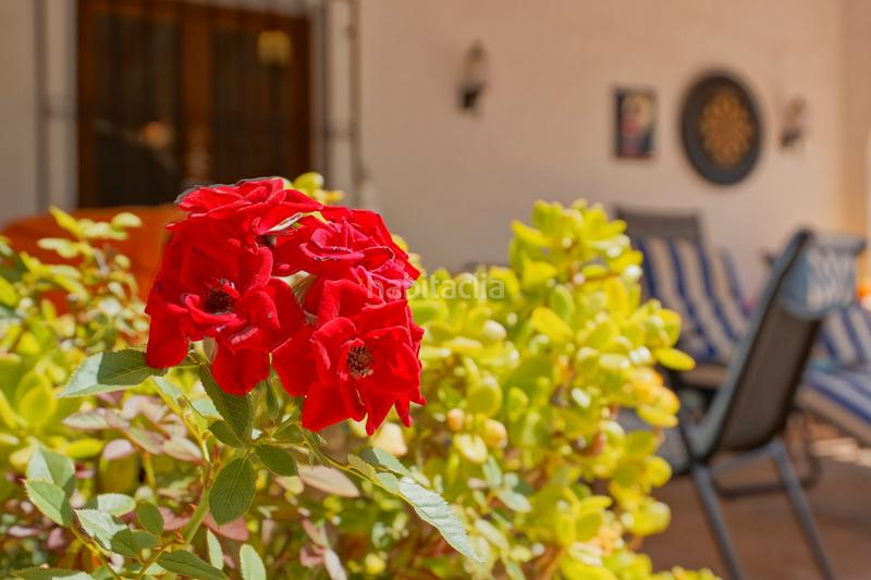 Foto db6756fd-8528-45b2-bb5b-6fcfce88f699. Chalet con riscaldamento parcheggio piscina in Partida Comunes-Adsubia Xàbia