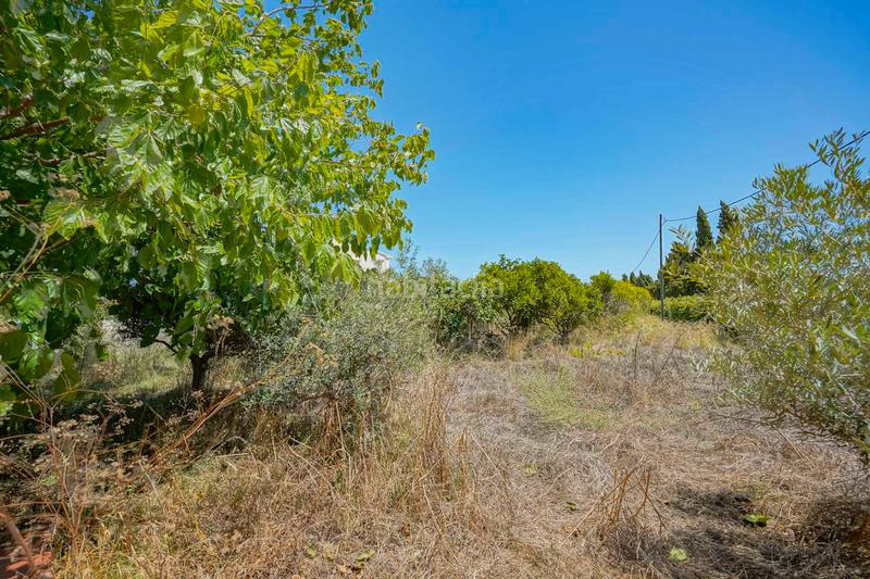 Foto 2f662e81-e7f5-4095-a60d-cab155eb3fe0. Chalet en Partida Comunes-Adsubia Xàbia