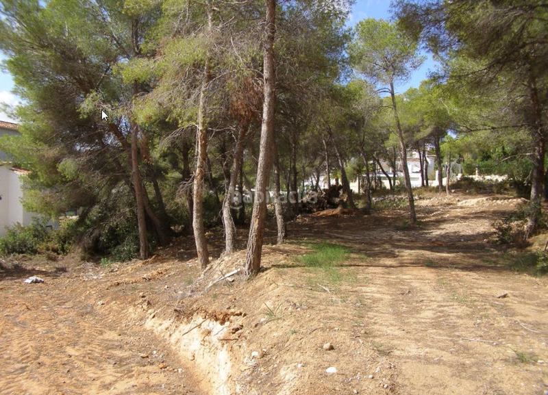 Foto fc094e30-528d-43d1-a9cc-fa4d5444dd20. Terrain résidentiel dans Benimeit-Tabaira Moraira