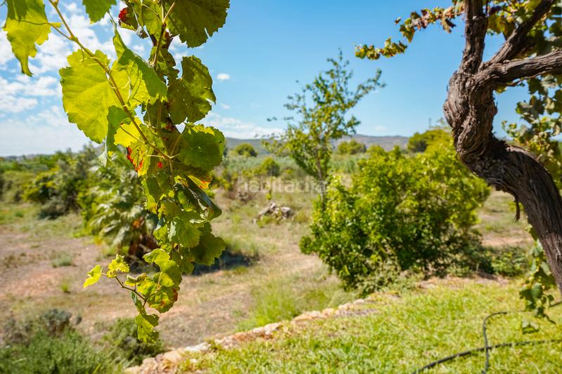 Foto b97c7e4b-8c1e-4880-b542-4866556804c1. Casa en Montgó - Ermita Xàbia