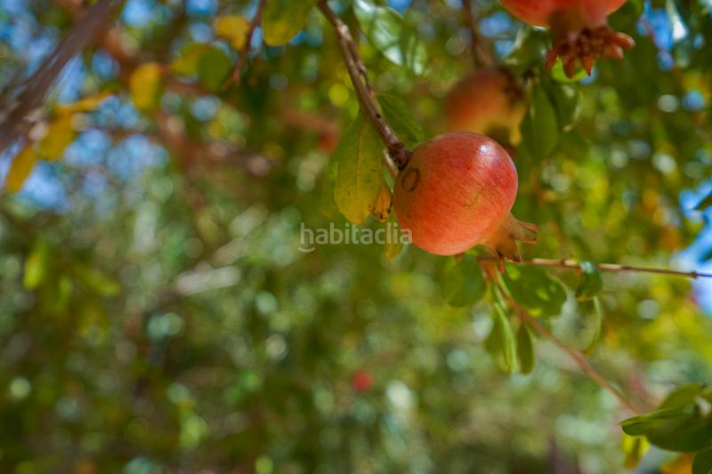 Foto d33a83c4-5c46-49f8-b114-1ff7538af466. Chalet en Portichol-Balcón al Mar Xàbia