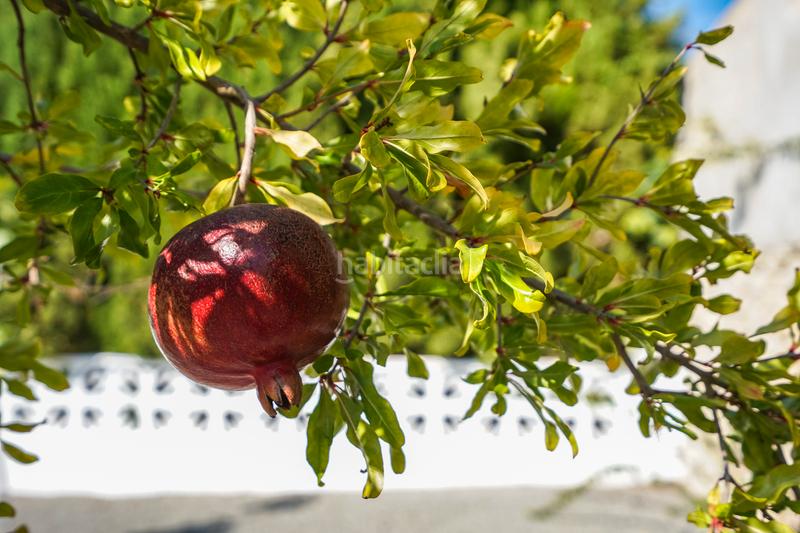 Foto 5b64fab0-4984-46d7-bb9a-4ab1da6193cf. Chalet mit heizung parking pool in La Fustera Benissa