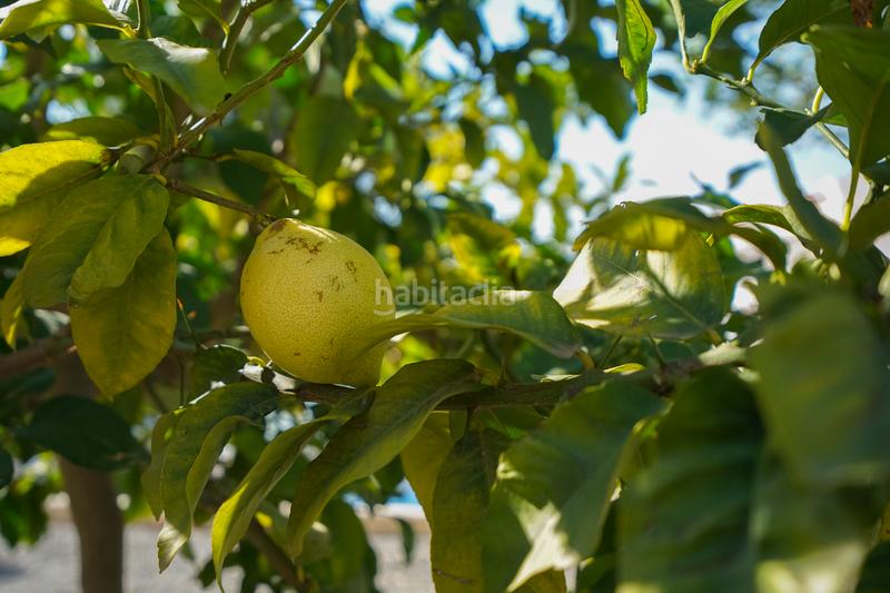 Foto bc3474f0-b8fe-48a1-b751-a4e16b73b104. Xalet amb calefacció aparcament piscina a La Fustera Benissa