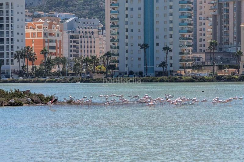 Foto 4adb3f3b-3637-47bb-be3f-ea7e85288f18. Xalet amb aparcament piscina a Cometa Calp