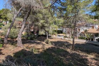 Terreny residencial a Pinar de Advocat-Cometa