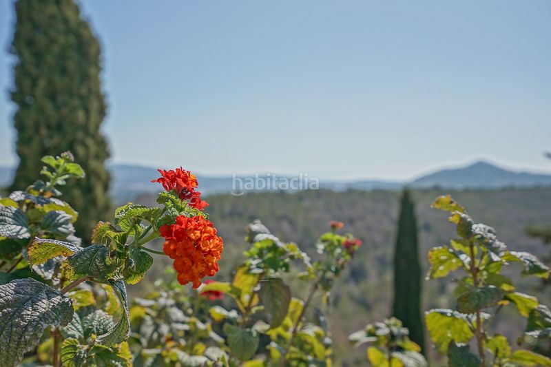 Foto bd7592e0-854b-4b3d-a142-cdd33a1d3c6e. Xalet amb calefacció piscina a Benissa pueblo Benissa