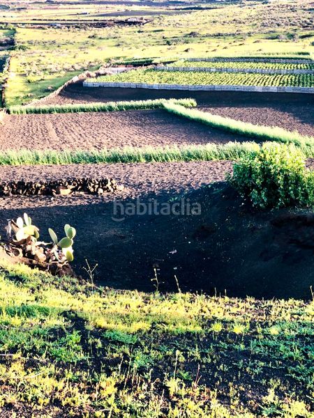 Foto 42542e14-7d8a-429f-b9e6-a72778e39a94. Finca rústica a Máguez Haría