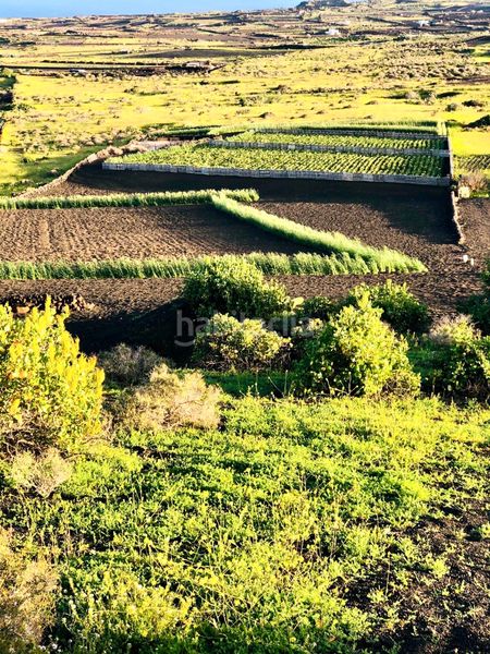 Foto cdeaa0ad-5b61-4c8c-9713-4279c1dff77d. Finca rústica a Máguez Haría