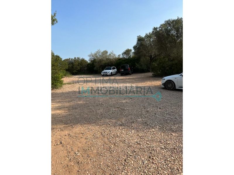 Foto 3bfe1bf6-0682-4d4f-a7b7-ef44c7ad62fa. Terreny residencial a Ampolla (L´)