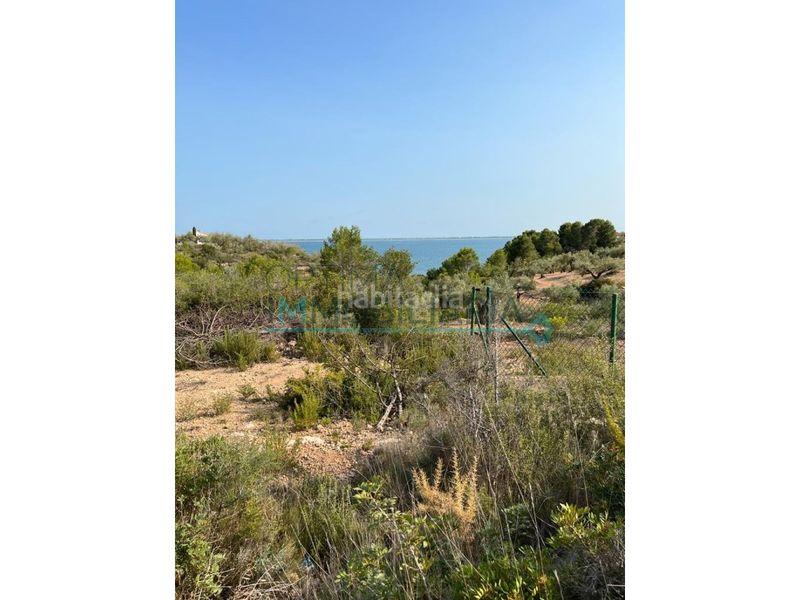 Foto 43ba785a-1370-493b-b1c3-d6c8056627bd. Terreny residencial a Ampolla (L´)
