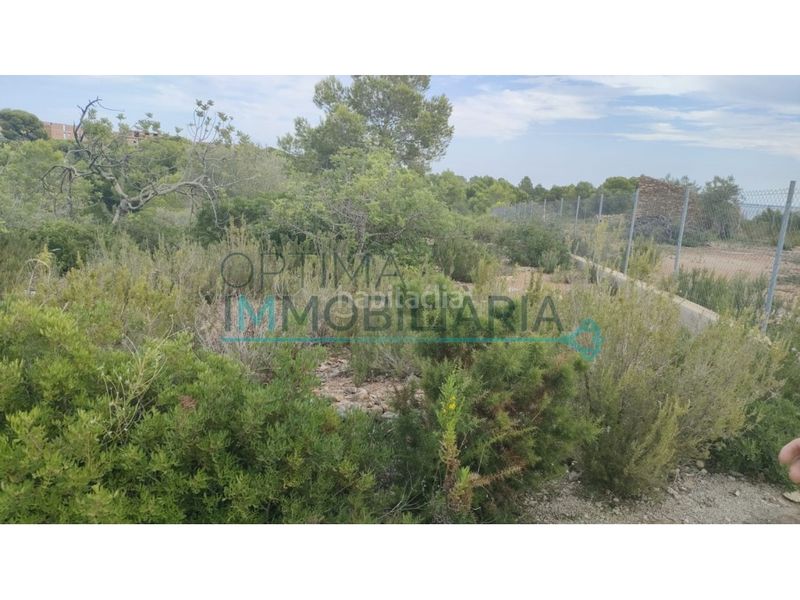 Foto 9f1a5952-747e-4e1b-b67e-98bf32b378be. Terreny residencial a Ampolla (L´)