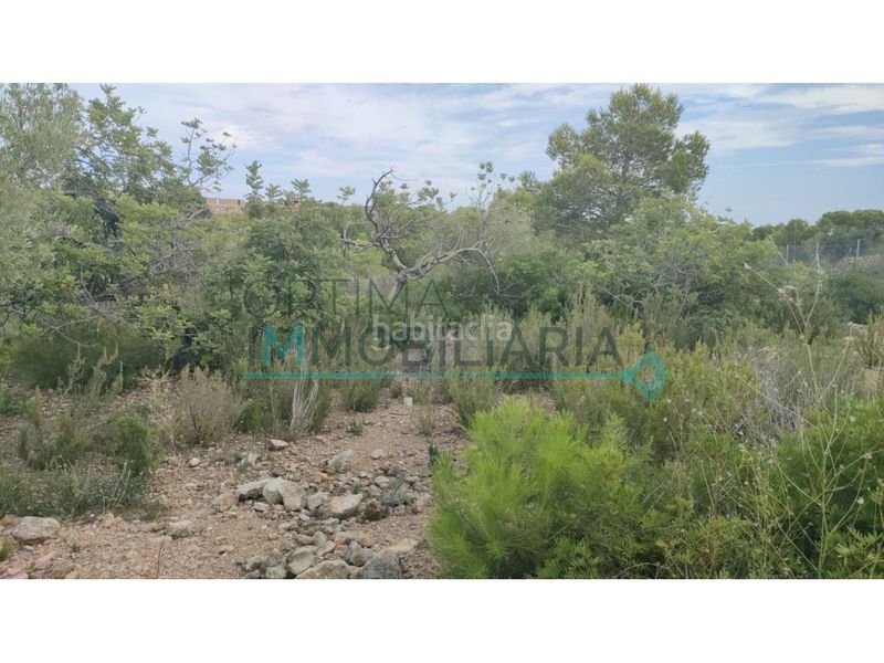Foto acefa4d4-a3da-4921-95a3-7c860c911d43. Terreny residencial a Ampolla (L´)
