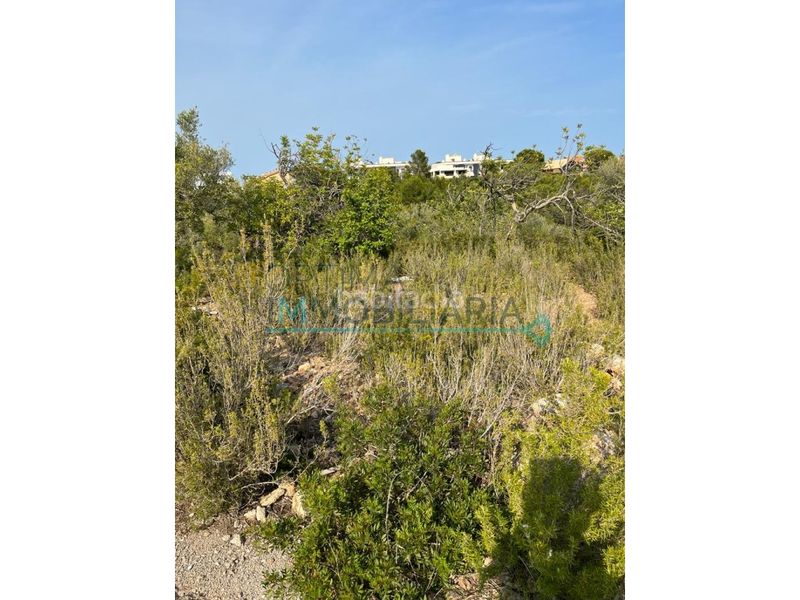 Foto f89ebfb6-81a0-4fb7-93f3-bd61383e8b49. Terreny residencial a Ampolla (L´)