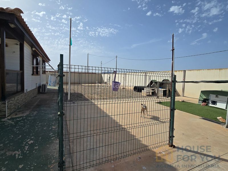 Foto 51d7d017-21ce-4b77-b8f4-c266d9c3d006. Casa amb aparcament a Dolores de Pacheco-Santa Rosalía Torre - Pacheco