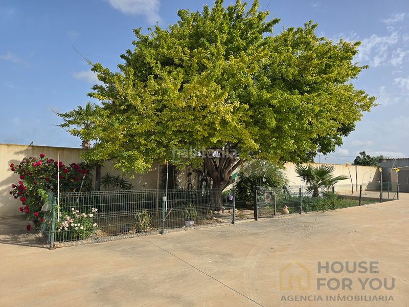 Foto f96a4a4f-5394-4c9c-a940-0ff65c79e331. Casa amb aparcament a Dolores de Pacheco-Santa Rosalía Torre - Pacheco