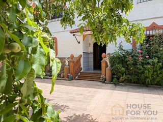 Bauernhof  Agregado los tubos. Finca rústica con dos viviendas reformadas, olivar ecológico y a
