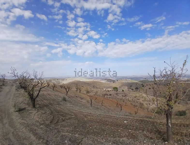 Foto 8fba4444-8420-436c-bc2f-c246b51bb9d4. Finca rústica a Puerto Lumbreras