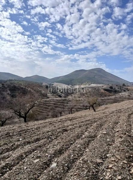 Foto a1a5fb45-f9bb-4d95-8bdf-5dcb60853e7a. Finca rústica a Puerto Lumbreras