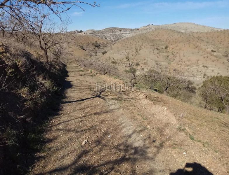 Foto b4ae6f90-bb6d-45cd-b30a-04729d90d480. Finca rústica a Puerto Lumbreras