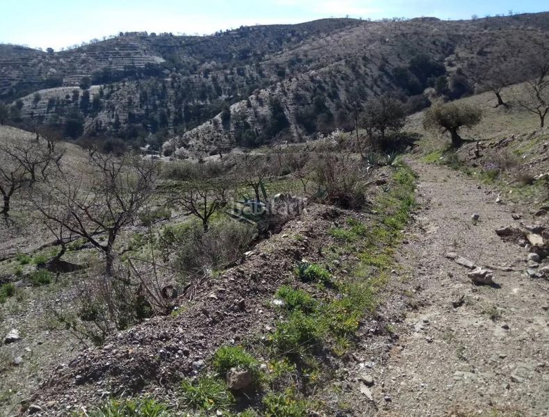 Foto b8da5080-572a-46d5-adb4-41b8c72c1d05. Finca rústica a Puerto Lumbreras