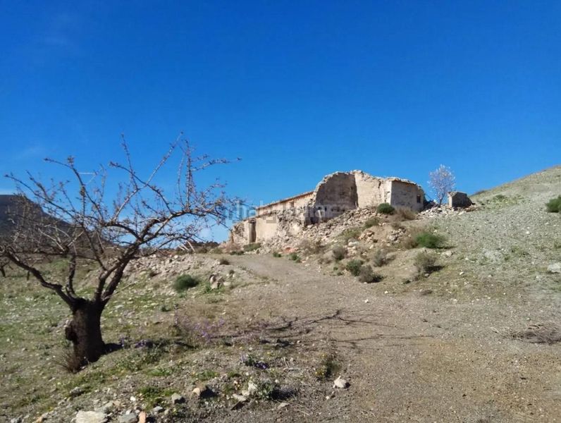 Foto c05a3f4b-7d3e-4f80-8cfe-019c5980b6f5. Finca rústica a Puerto Lumbreras