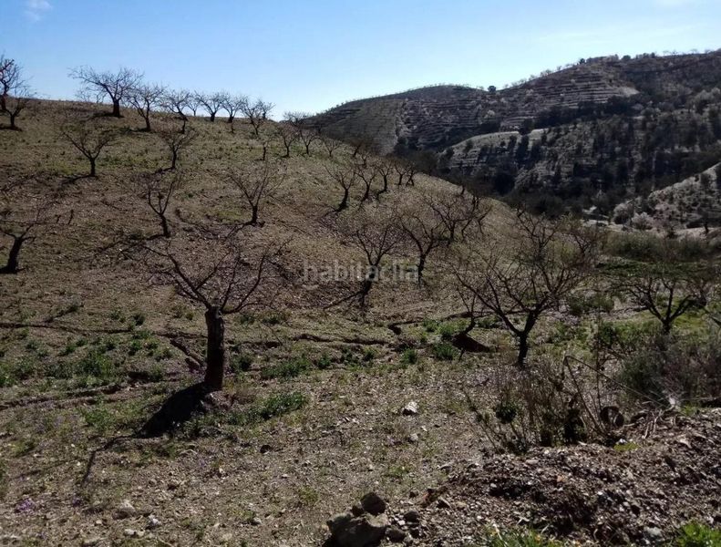 Foto c21a1884-9def-4534-b2a6-f98c535bb1d4. Finca rústica a Puerto Lumbreras