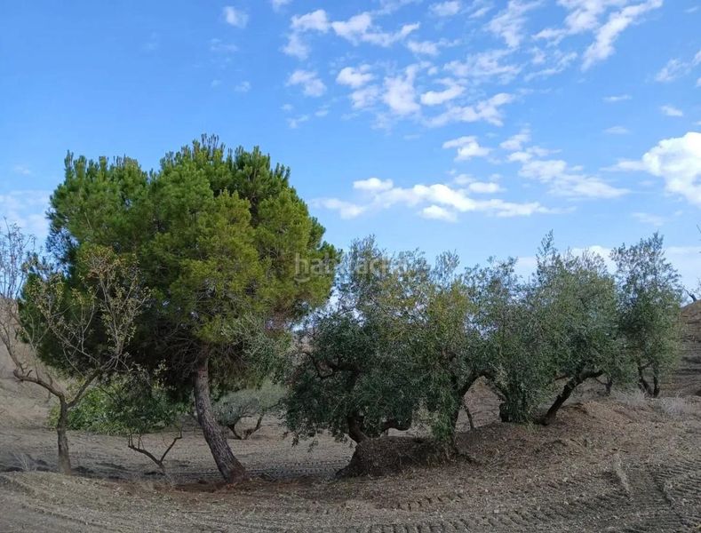 Foto c5921925-b317-4627-8f95-011b9dfe70c4. Finca rústica a Puerto Lumbreras