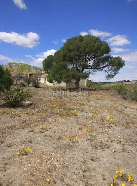 Foto d68fd079-6d7c-4736-b6d0-7b8f31b1bfc9. Finca rústica a Puerto Lumbreras