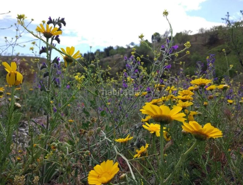Foto f8da3c33-1a08-4cde-b92c-9078c9da02d0. Finca rústica a Puerto Lumbreras