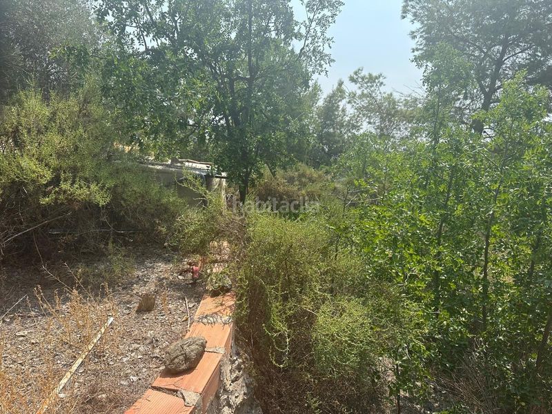 Foto 47bd95de-8ff7-4cc1-b3e7-4da8f91dba81. Finca rústica a Casco Antiguo Águilas