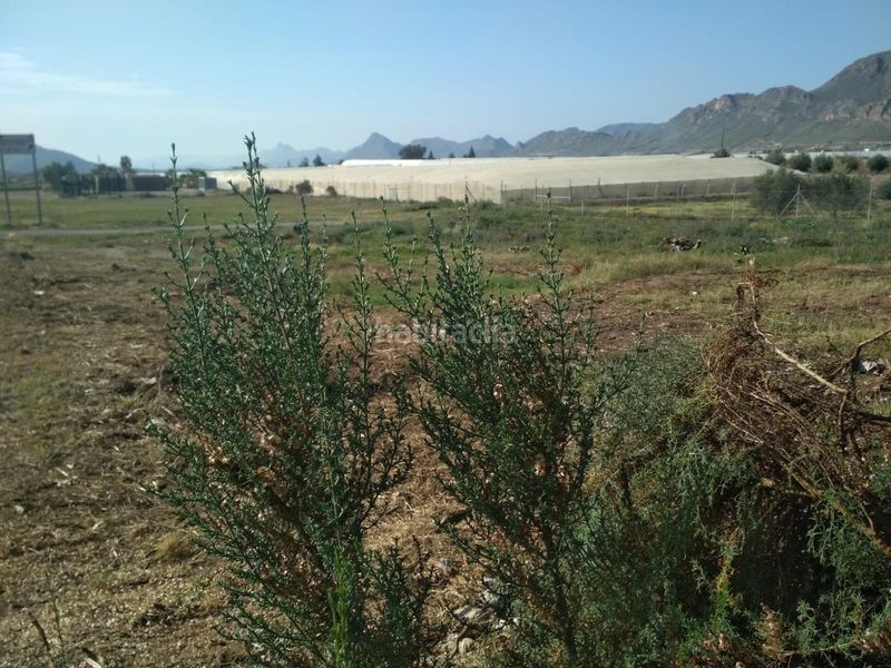 Foto e938615e-348d-4ddc-81de-db7cf154e375. Finca rústica a Casco Antiguo Águilas