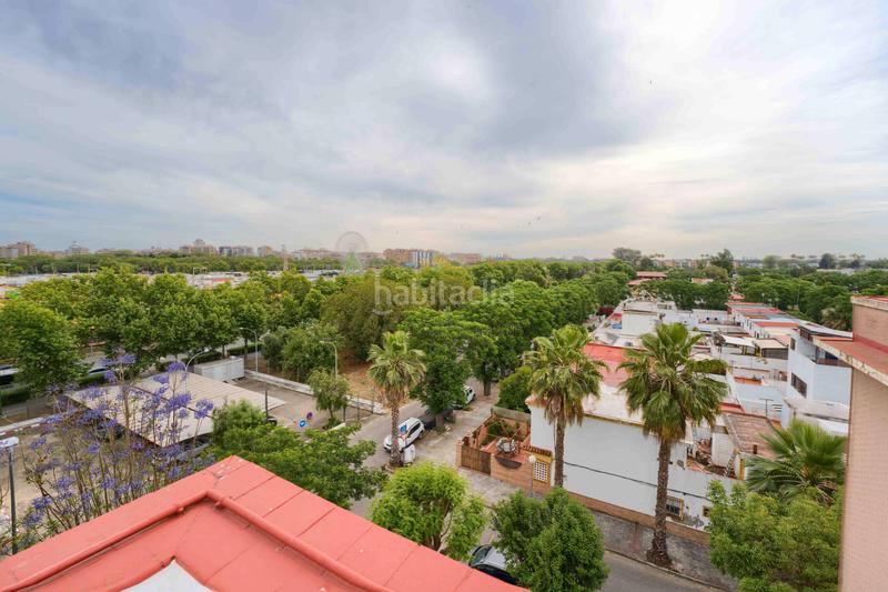 Foto d6c35911-68d9-49f0-80b6-28ccb7807f36. Planta baja en calle julia rómula hispalis 5 bajo reformado en venta en c/ julia romula hispalis en Sevilla
