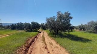 Finca rústica a Villanueva del Arzobispo. Venta  de rustico en sorihuela de guadlimar